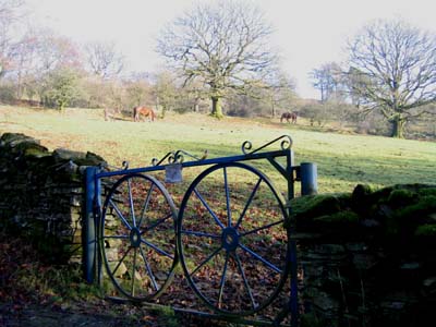 Ornate metal field gate