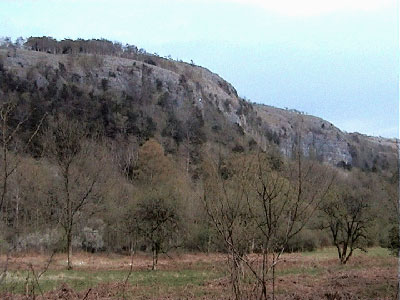 View of the scar