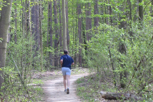 Trail Running - Taking in the Scenes at Speed