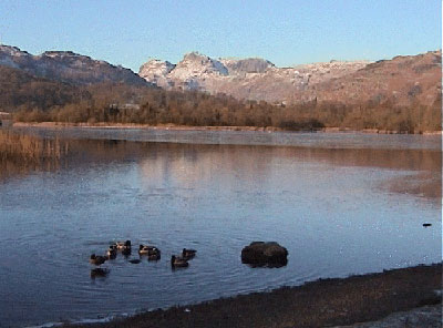View back across Elter Water towards the Langdale Pikes