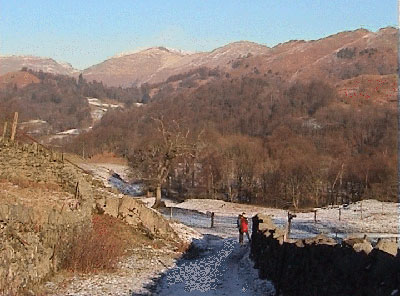 View back down the lane