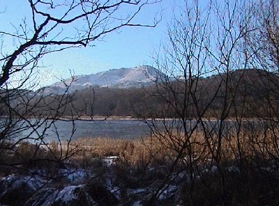 View through the trees looking south across Elter Water