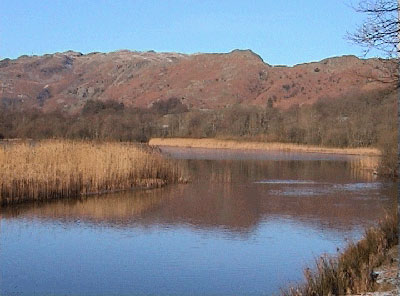 View across Elter Water to Lang Howe