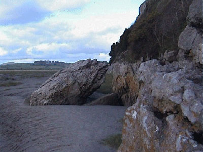 One of the rocks now fragmented from Humphrey Head