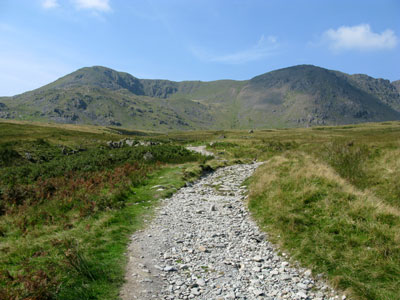 Brown Pike and Buck Pike