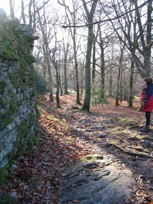 Path as it turns the corner into the fenced lane