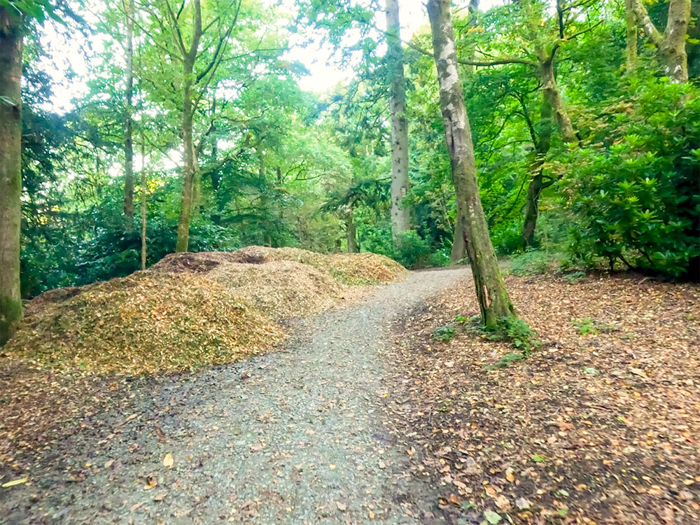 Heading along the gravelled track through Elleray Wood