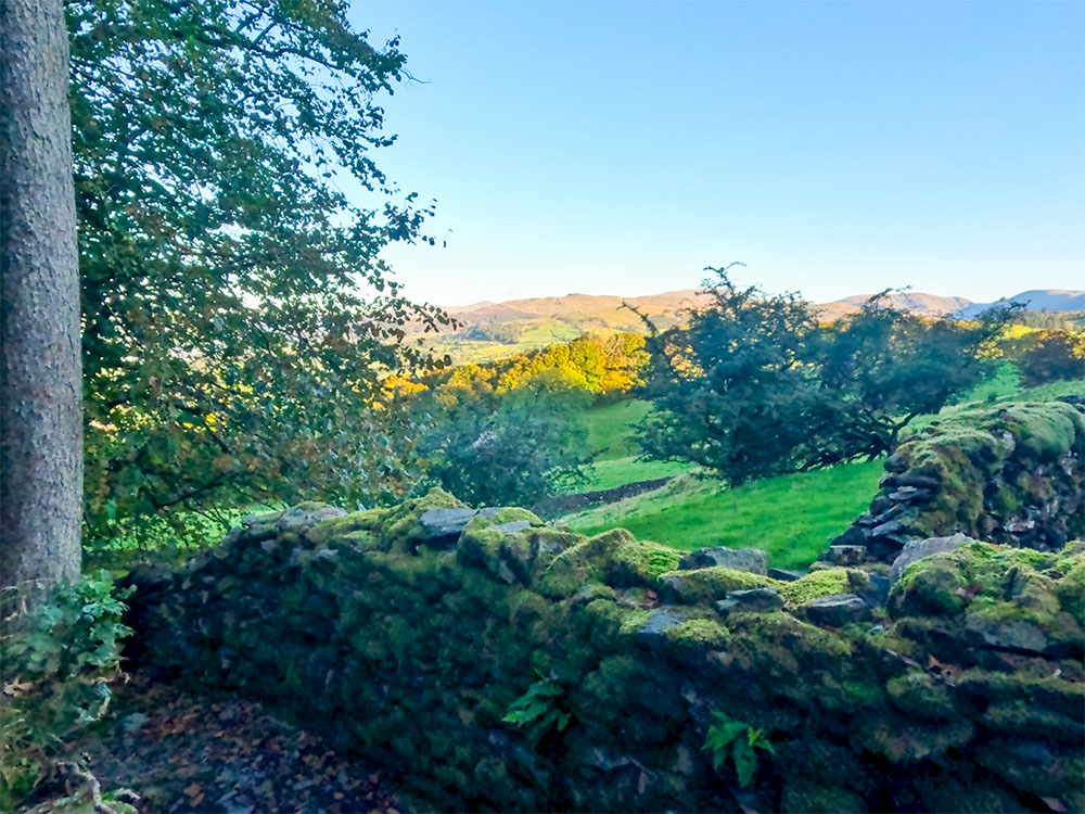 An initial view of some of the Lakeland Fells from Elleray Wood