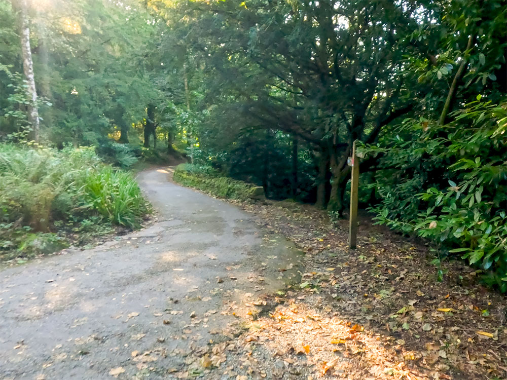 Passing back onto the road heading through Elleray Wood