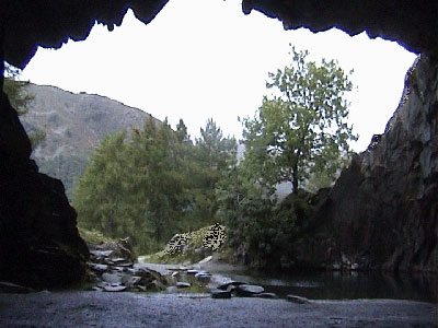 View from inside the cave