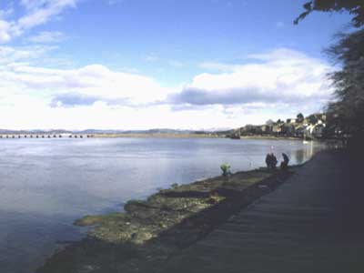 View back to the Albion public house