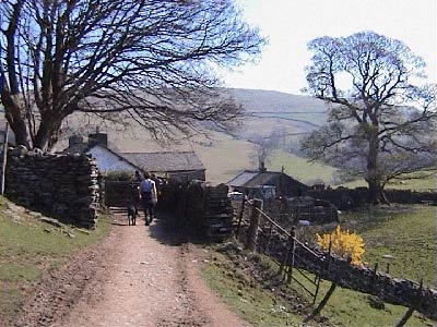 Path entering the farm