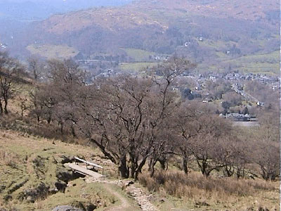 Wooden footbridge with Ambleside in the distance