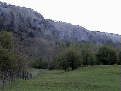 Path by the fence heading back towards the scar