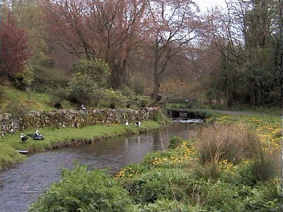 Road bends over the stream